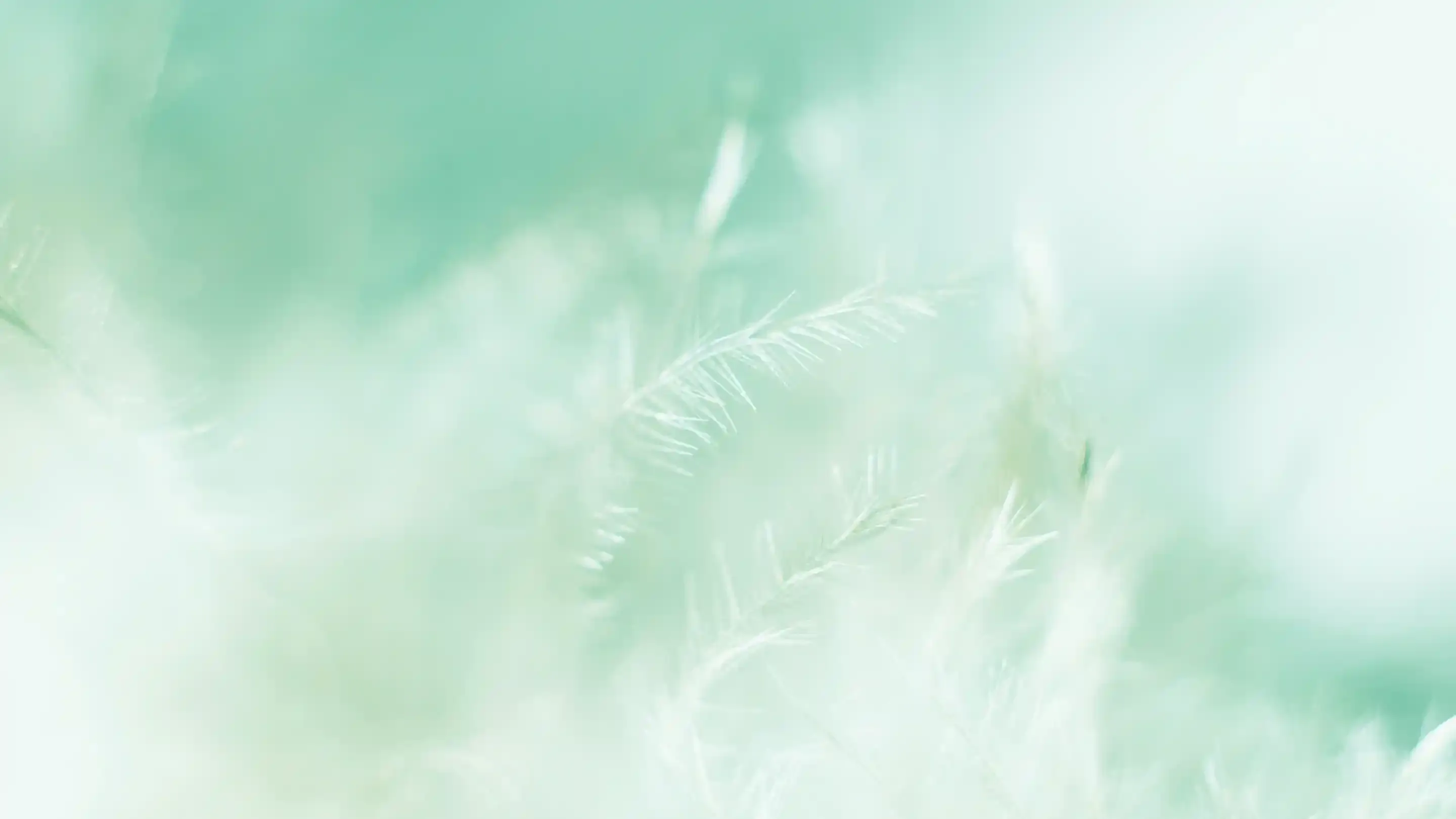 Healing lives, relieving pain. Sanodyne Therapeutics, Inc.